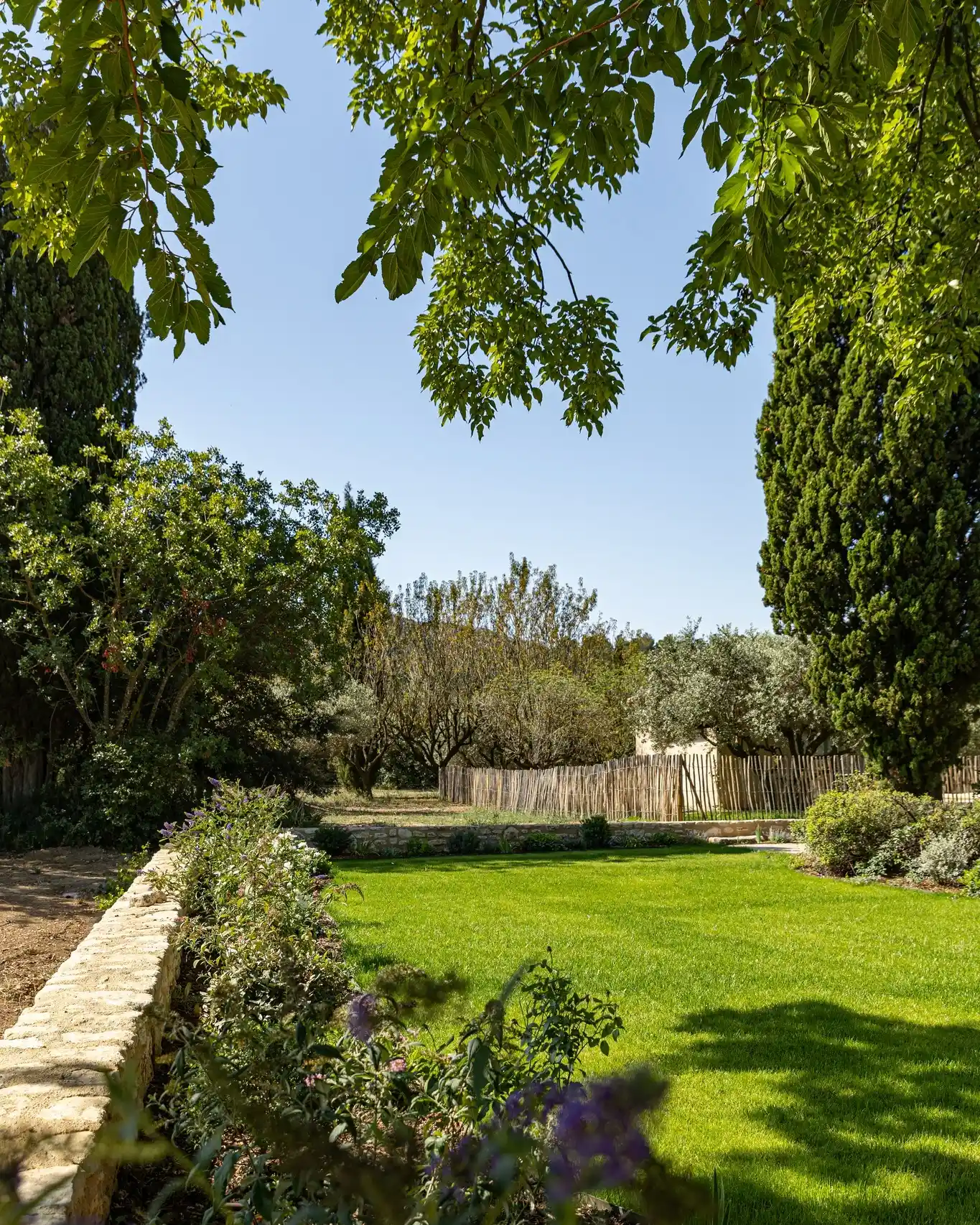 Réalisation paysagiste Saint-Rémy-de-Provence 61