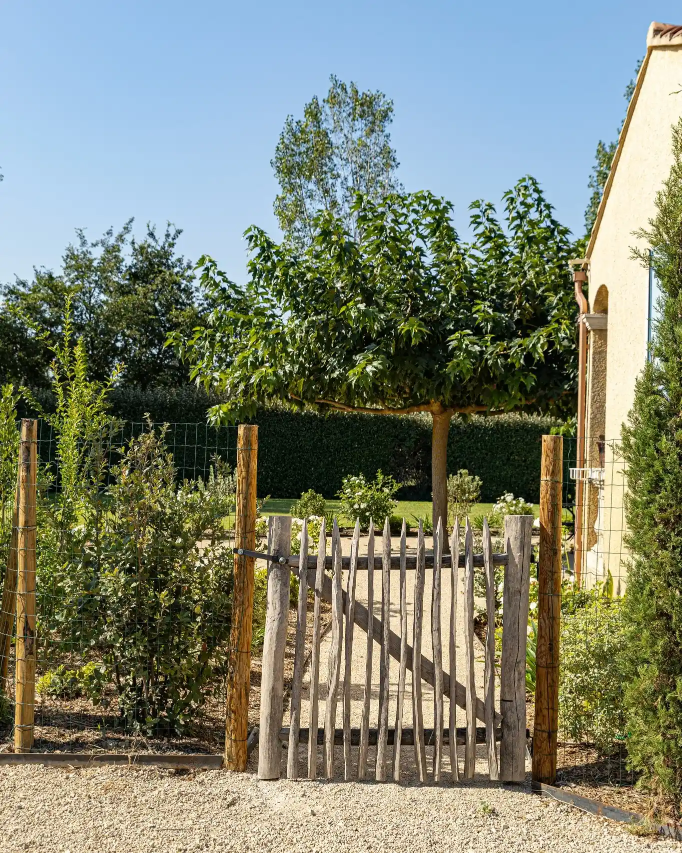 Réalisation paysagiste Saint-Rémy-de-Provence 42
