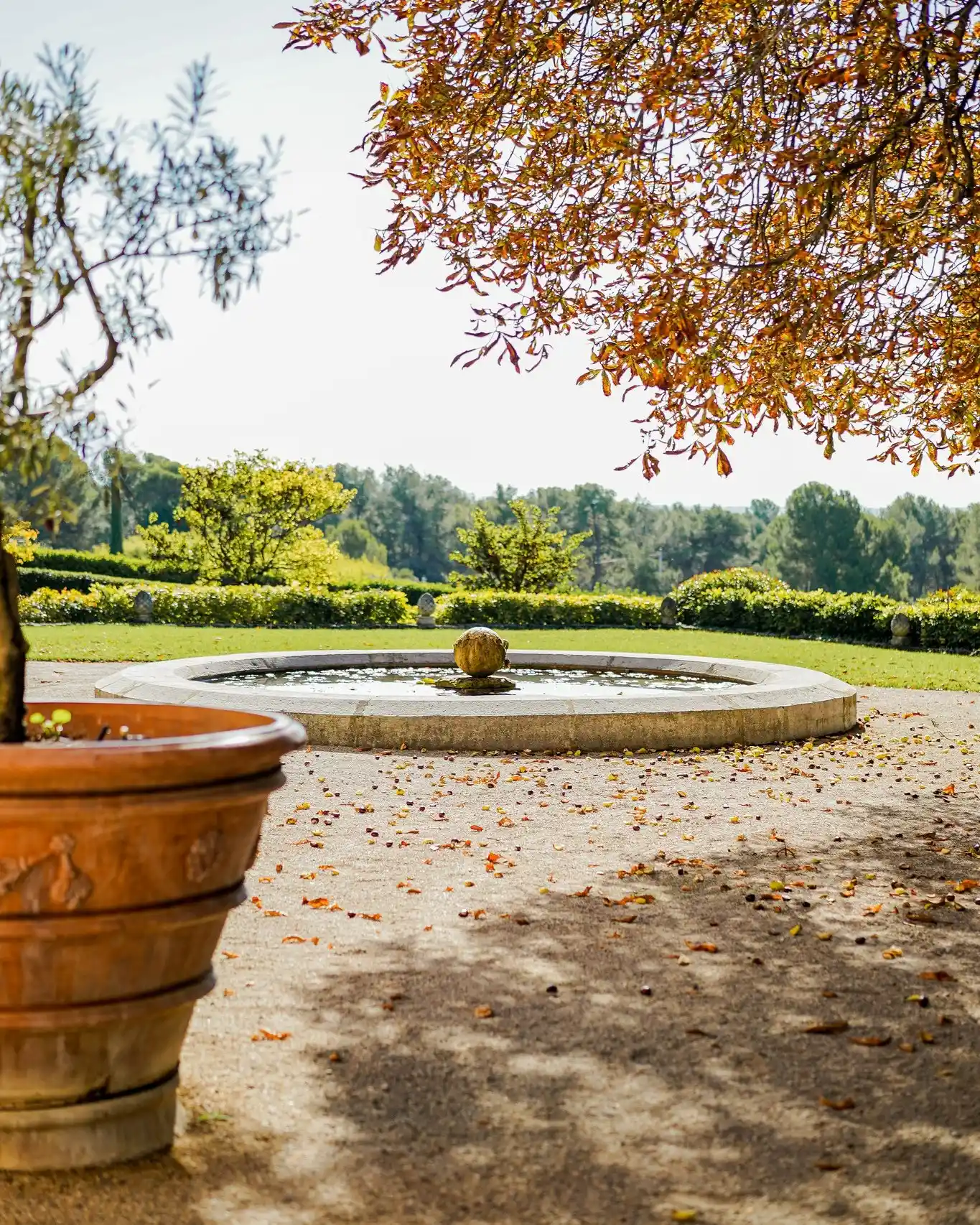 Réalisation paysagiste Saint-Rémy-de-Provence 47