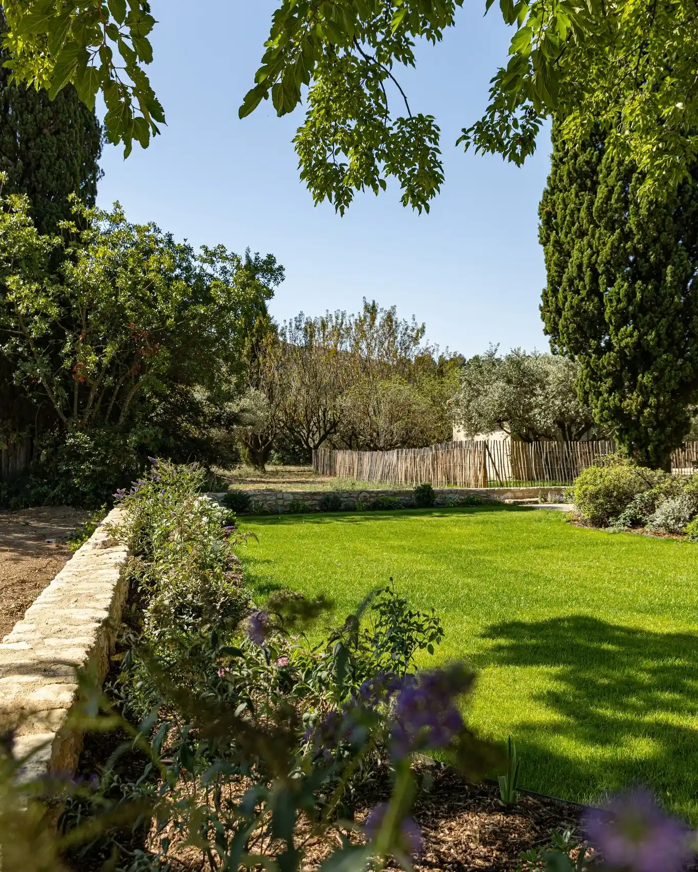 Réalisation paysagiste Saint-Rémy-de-Provence 36