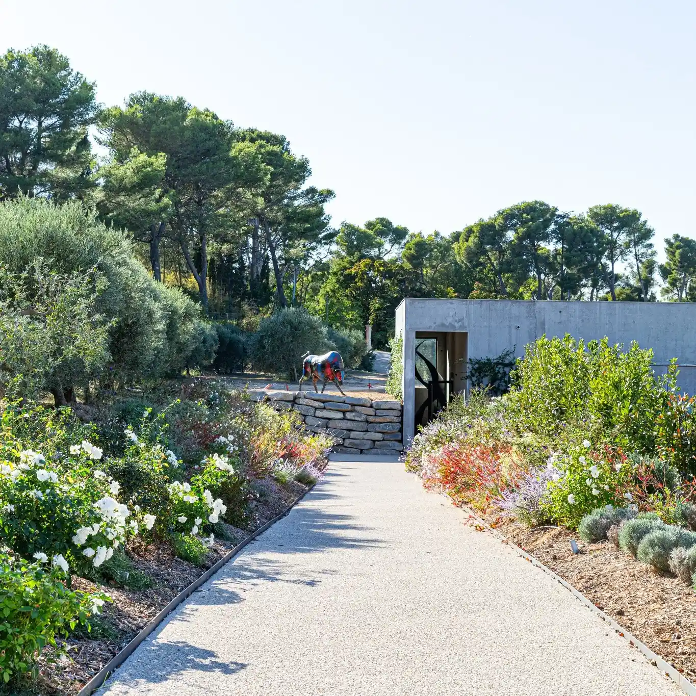 Réalisation paysagiste Saint-Rémy-de-Provence 12